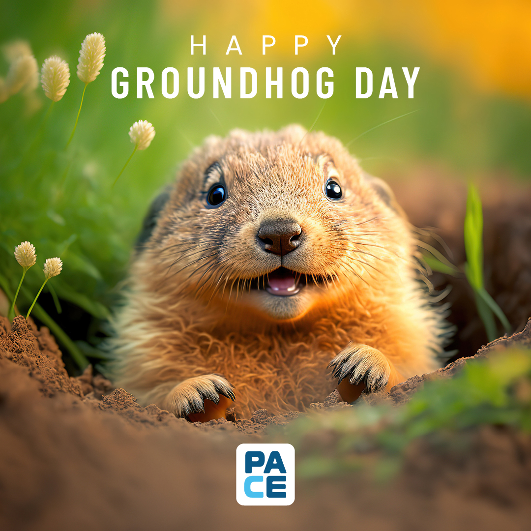 Happy Groundhog's Day! Someone let us know if he saw his shadow! 👀

If you're looking for something to do in the spring weather, join us in #WashingtonDC for our 2023 Summit! #PACEDC23
☀️ bit.ly/3wBBGdu