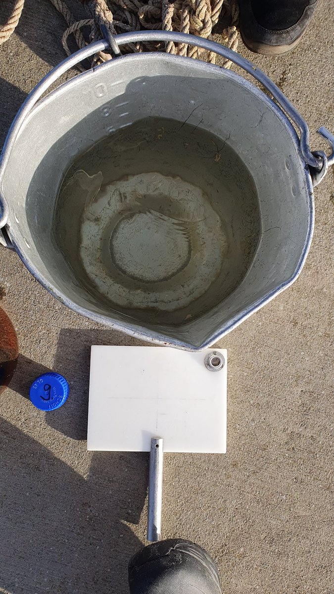 S09T0523 14:58 3,1°C SAL 1,4