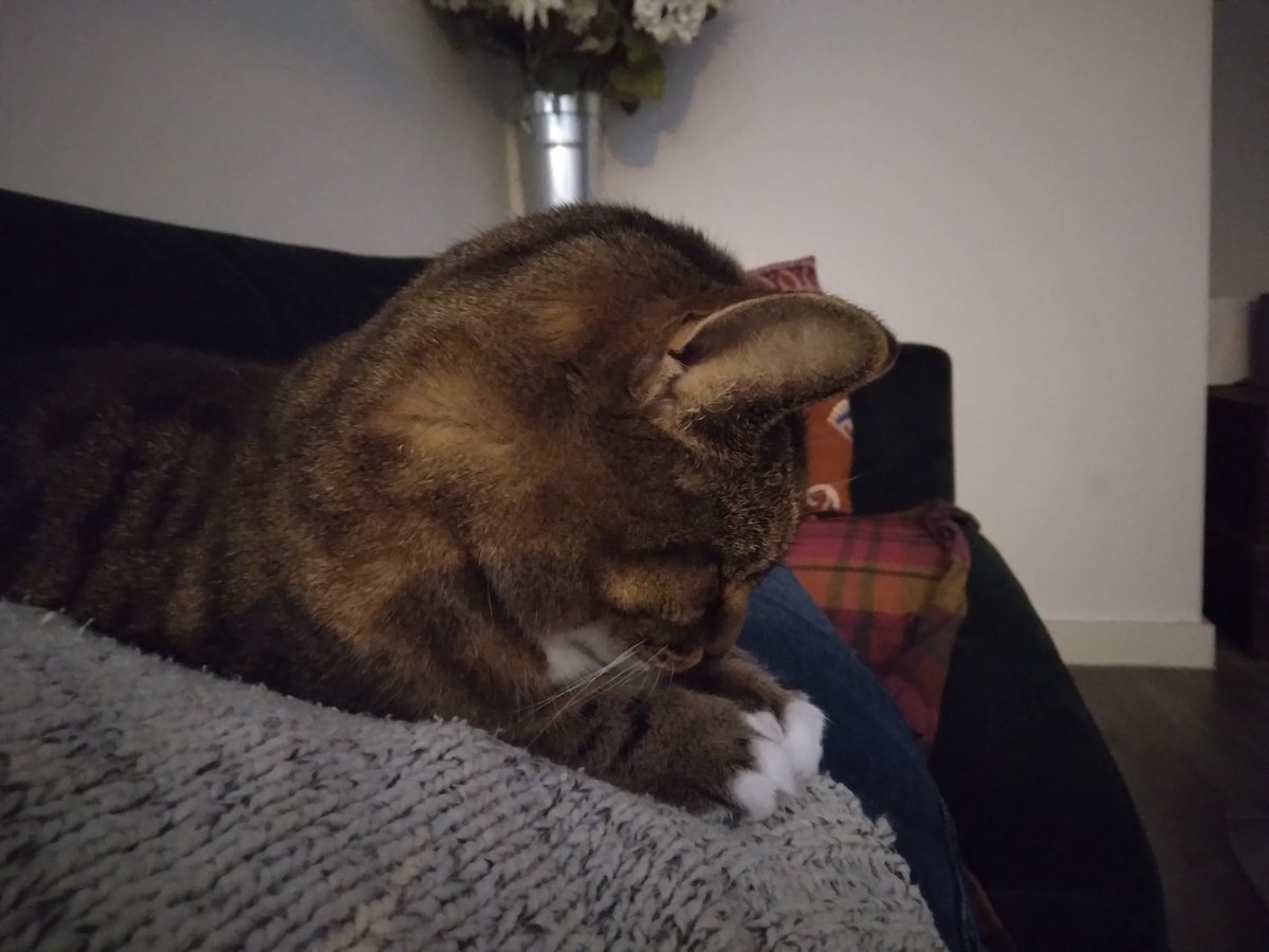 Clare Worden tweet media