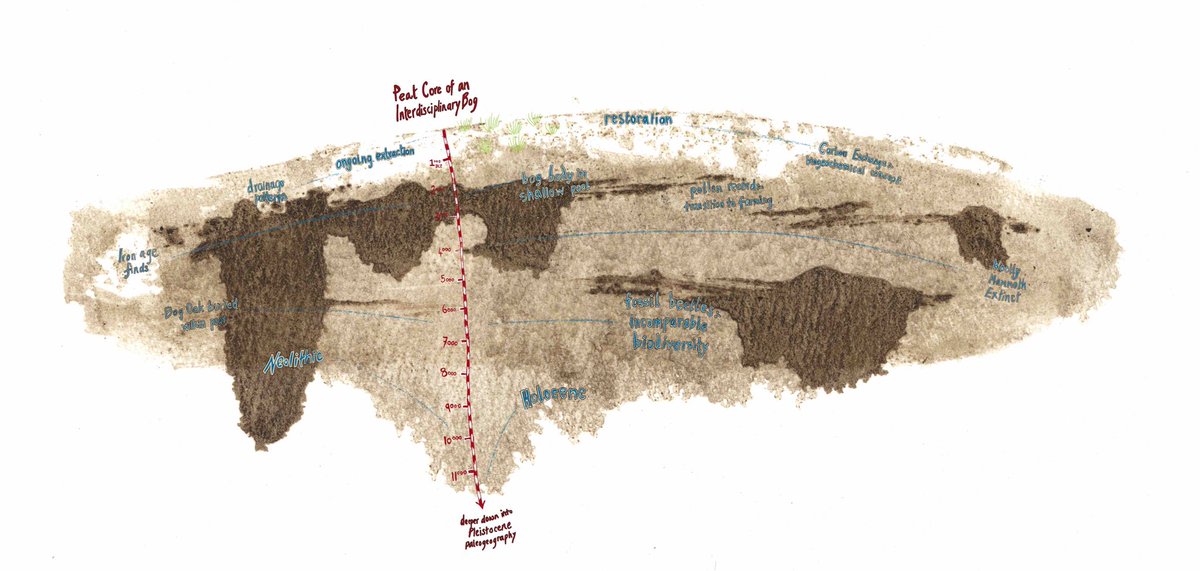 What is a Peat Core of an Interdisciplinary Bog like? Here’s my idea, a slice of the Holocene full of exuberant life! #WorldWetlandsDay2023 @Fossilbeetle⁩ ⁦@Roy_van_Beek⁩ ⁦@repeatearth⁩ ⁦@peatconnections⁩ ⁦@WorldSoilMuseum⁩ ⁦⁦@pantearm⁩