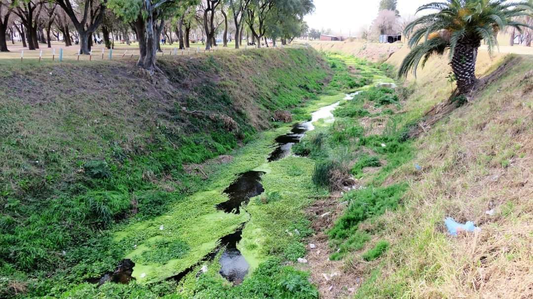 FranquitaBoni's tweet image. En el #DíaDeLosHumedales, el
#ArroyoCandelaria es nuestro Humedal y conforma con el
#ParqueSarmiento un corredor biológico natural.

En Santa Fe,  contamos con la Ley Nº 12175, Sistema Provincial de Áreas Naturales Protegidas, dónde se define y se protege a nuestros humedales.