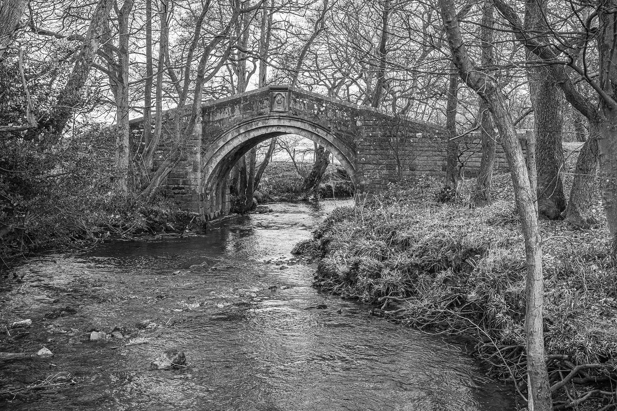 Not so Commondale bridge in North Yorkshire
#LPOTY #yorkshireinblackandwhite #Yorkshire #blackandwhitephotos #blackandwhitephotography #blackandwhite #blackandwhitephoto #Yorkshireis #Pentax #BWPMag