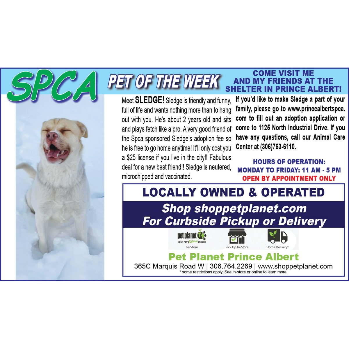 PAShopper's tweet image. SPCA - Pet of the Week
princealbertshopper.com/spca
#SPCA #PetoftheWeek #princealbertshopper