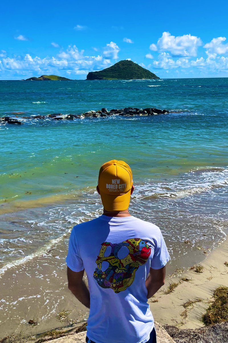 GM to everyone in Web3 🙌

Rocking some <a href="/BoredApeYC/">Bored Ape Yacht Club 🍌</a> gear today ☀️🌴