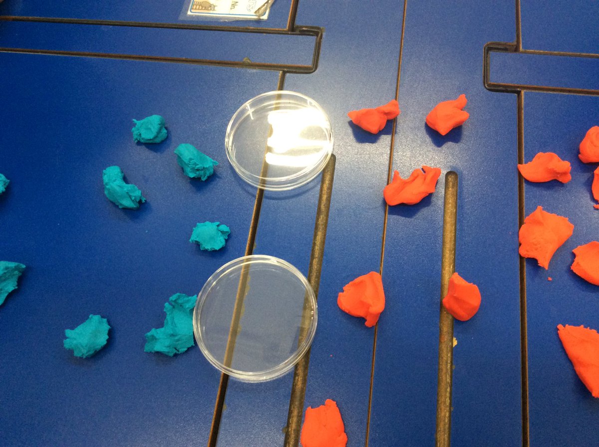 Our Year 5/6 Scientists continuing their work on Microorganisms and inventing their own microorganism and creating it in play-doh