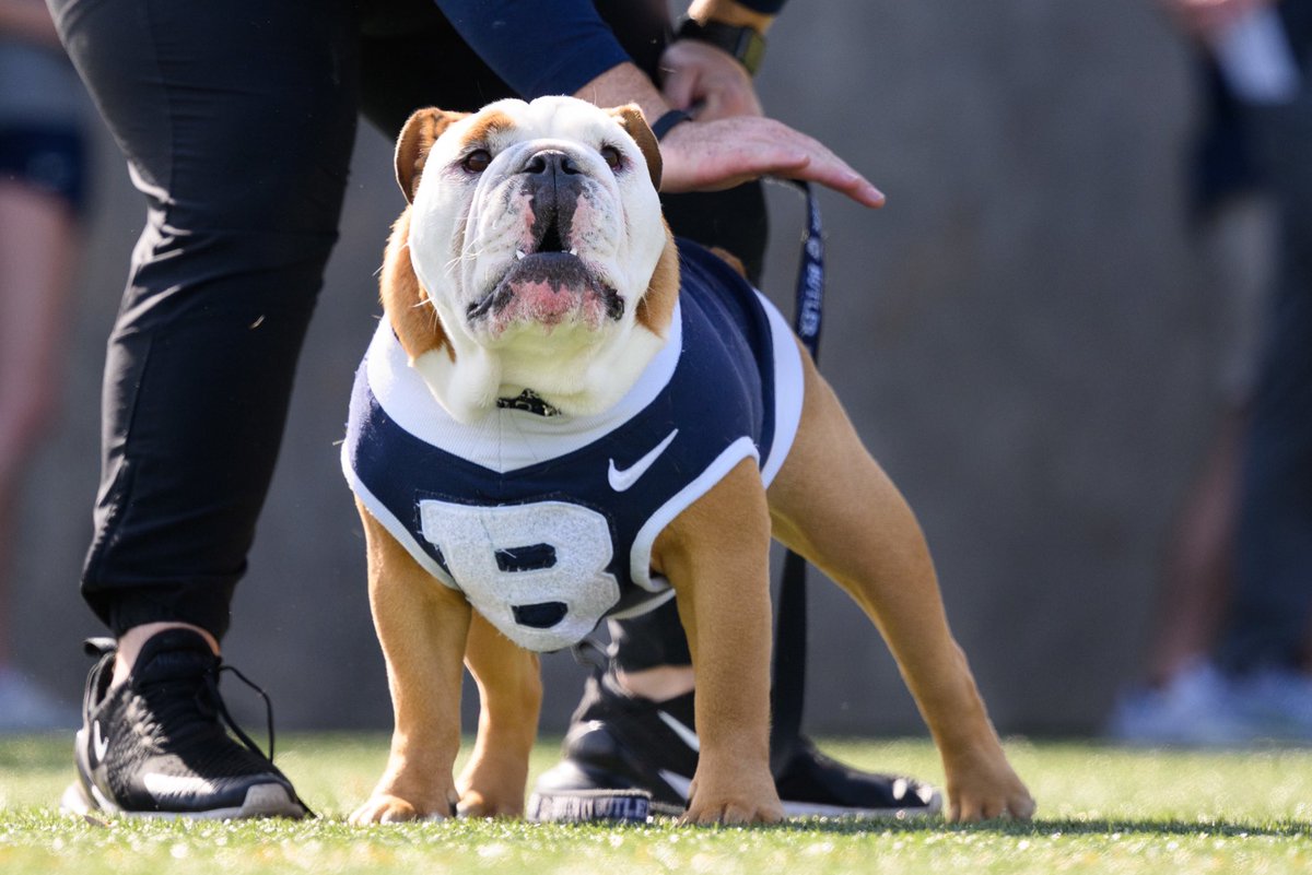 TheButlerBlue's tweet photo. Can someone point me in the direction of that ground hog? I promise I only wanna talk. https://t.co/rpI94WcoLj