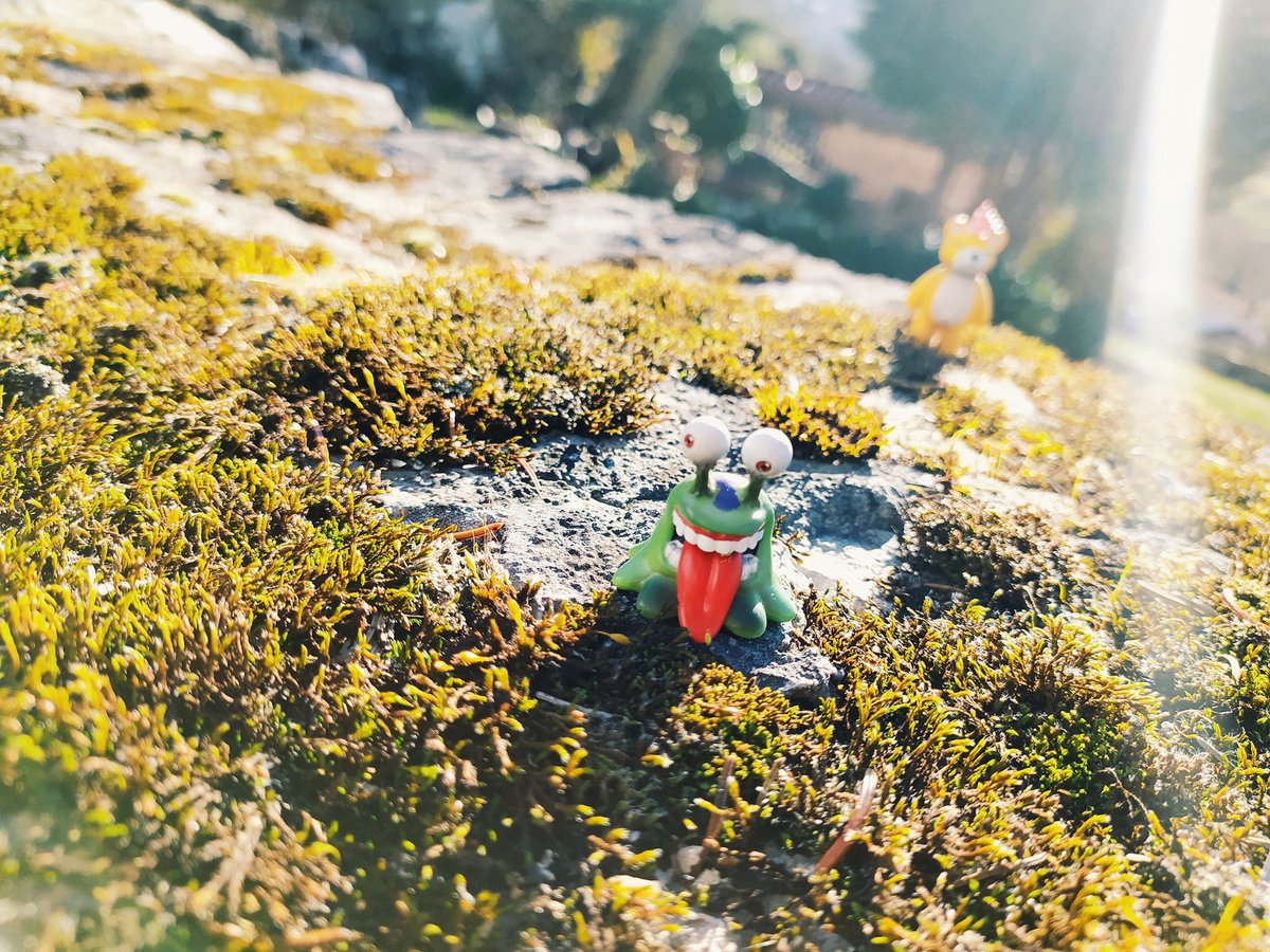 DMuchomon's tweet photo. Hace un día tan atípico de sol en Asturias (España), que algunos #Digimon han decidido dejarse fotografiar.
.
.
.
#Vegiemon #Numemon #Monzaemon #Betamon #Agumon https://t.co/8OtQ0kPBTB