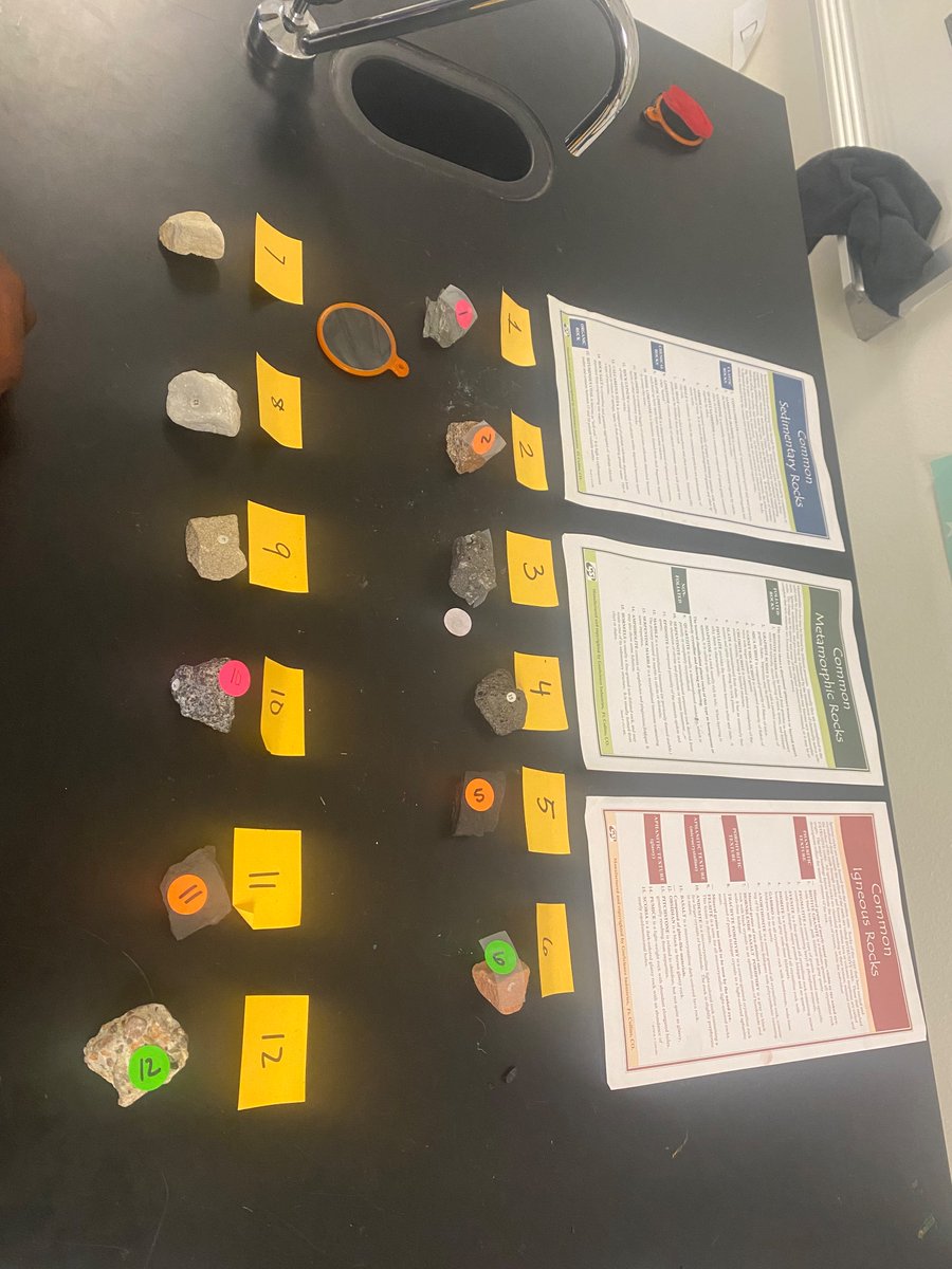 Ms. Howard M.Ed. tweet media