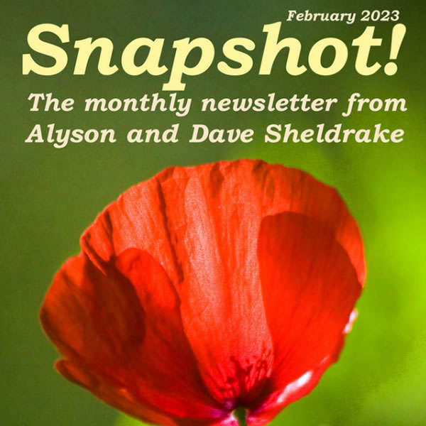 SNAPSHOT! Art and Photography news from the Algarve - February 2023. @AlysonSheldrake algarvedailynews.com/art-culture/21… #art #photography #algarvemagazine #algarvelifestyle #algarve #alysonsheldrake #davesheldrake