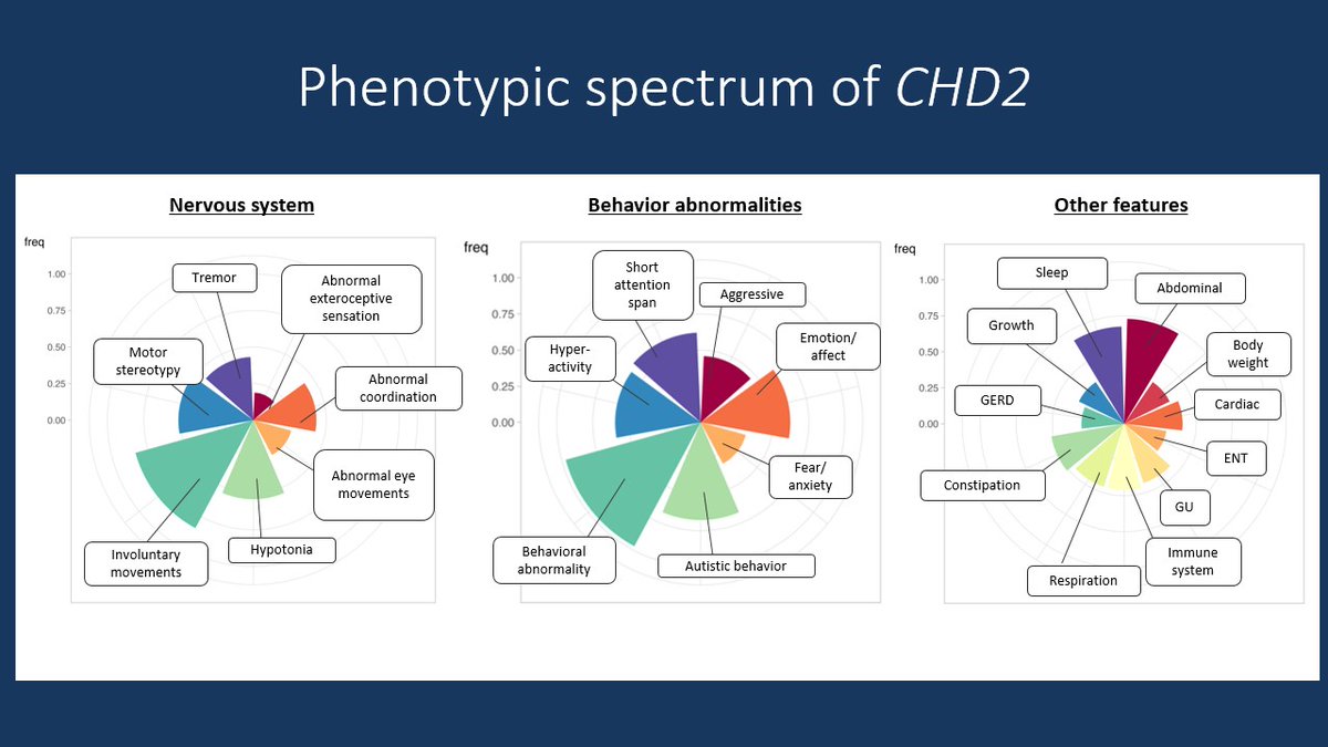 Ingo Helbig tweet media