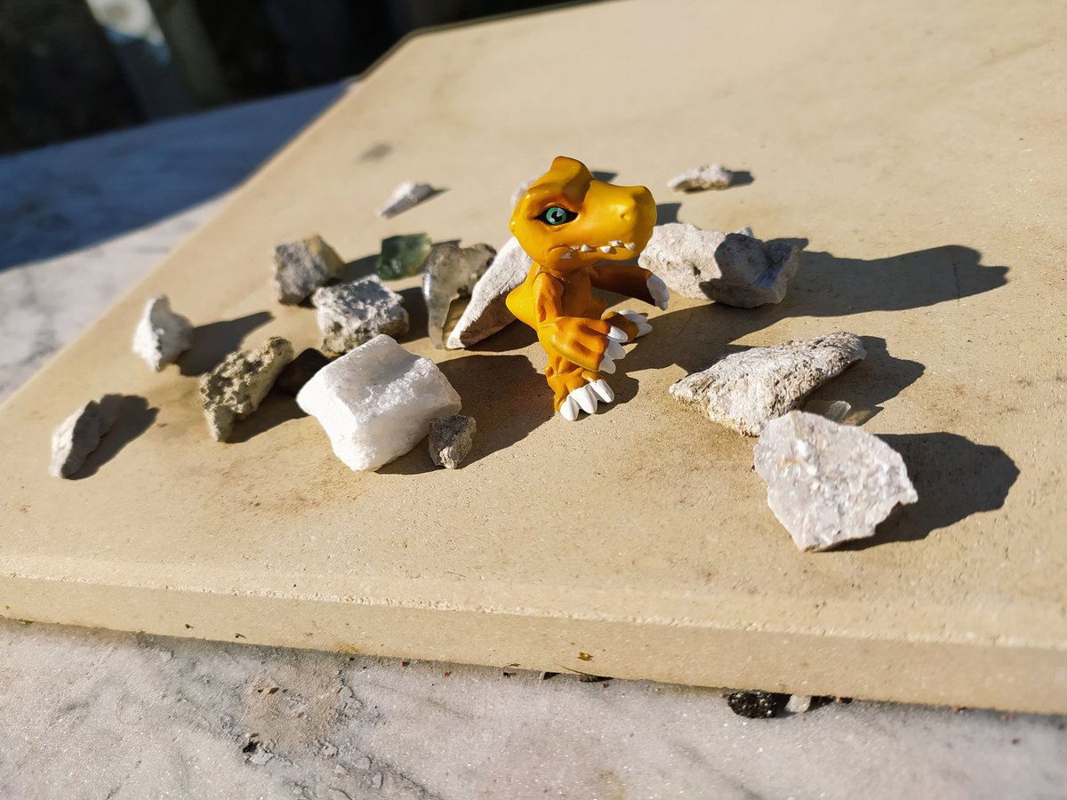 DMuchomon's tweet photo. Hace un día tan atípico de sol en Asturias (España), que algunos #Digimon han decidido dejarse fotografiar.
.
.
.
#Vegiemon #Numemon #Monzaemon #Betamon #Agumon https://t.co/8OtQ0kPBTB