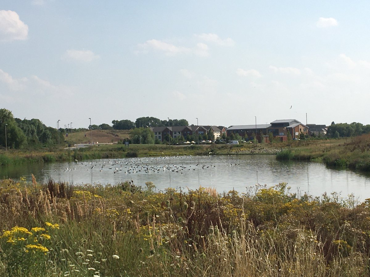 AllenPyke's tweet photo. For #WorldWetlandsDay we are looking back at some of our successful wetland creation and restoration projects in Hampshire, Bucks and Berks. We love working on projects where the importance of wetland habitats, for both wildlife and people, is recognised. 
https://t.co/evlymsbIqx https://t.co/rQg4wCv4XL