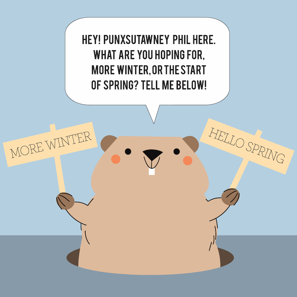 Anne Arnold (@annearn) / Posts / X