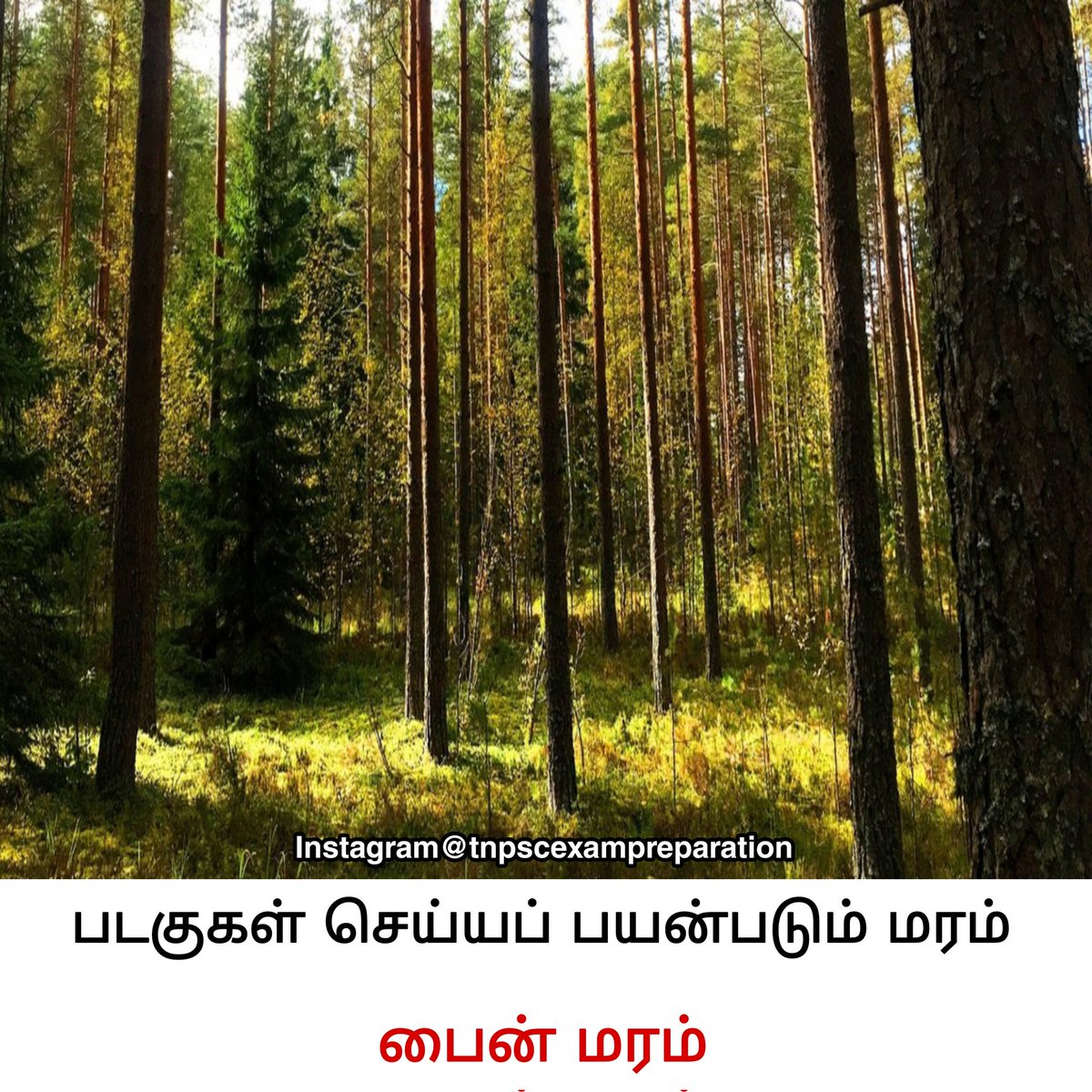 Tnpsc Exam preparation tweet media