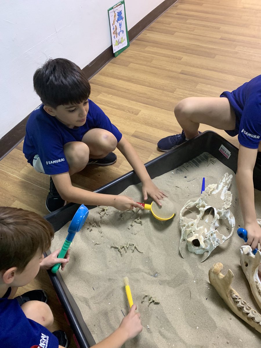 JESSJumeirahYR4's tweet photo. We are having a dino-tastic afternoon in Year 4 today! As well as creating our own trace fossils, we have been acting as paleontologists in the search for dinosaur fossils 🦖🦕#JESSJumTopic https://t.co/WULzu1OYx8