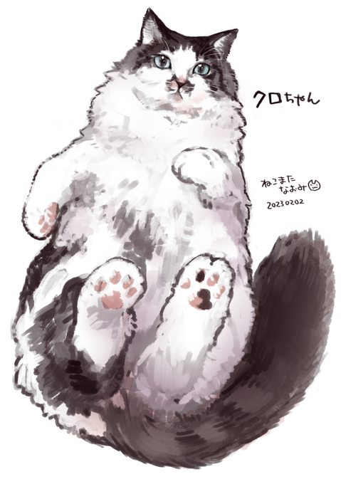 しっぽふとい!@adastra0214 