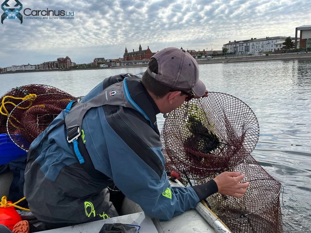 Carcinus_Ltd's tweet photo. Carcinus undertake ecological and commercial fisheries survey and data analysis services. Our specialist fish ecologists and fisheries scientists have a detailed knowledge of fish ecology, fisheries science, and the commercial fishing industry.
https://t.co/xZKUbKqpe4 https://t.co/a6s6xLw8tF
