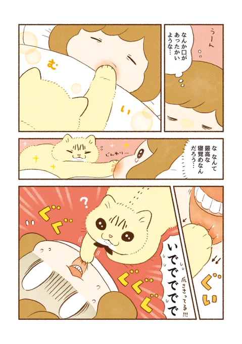 猫マンガ
「可愛いおててにはトゲがある」 