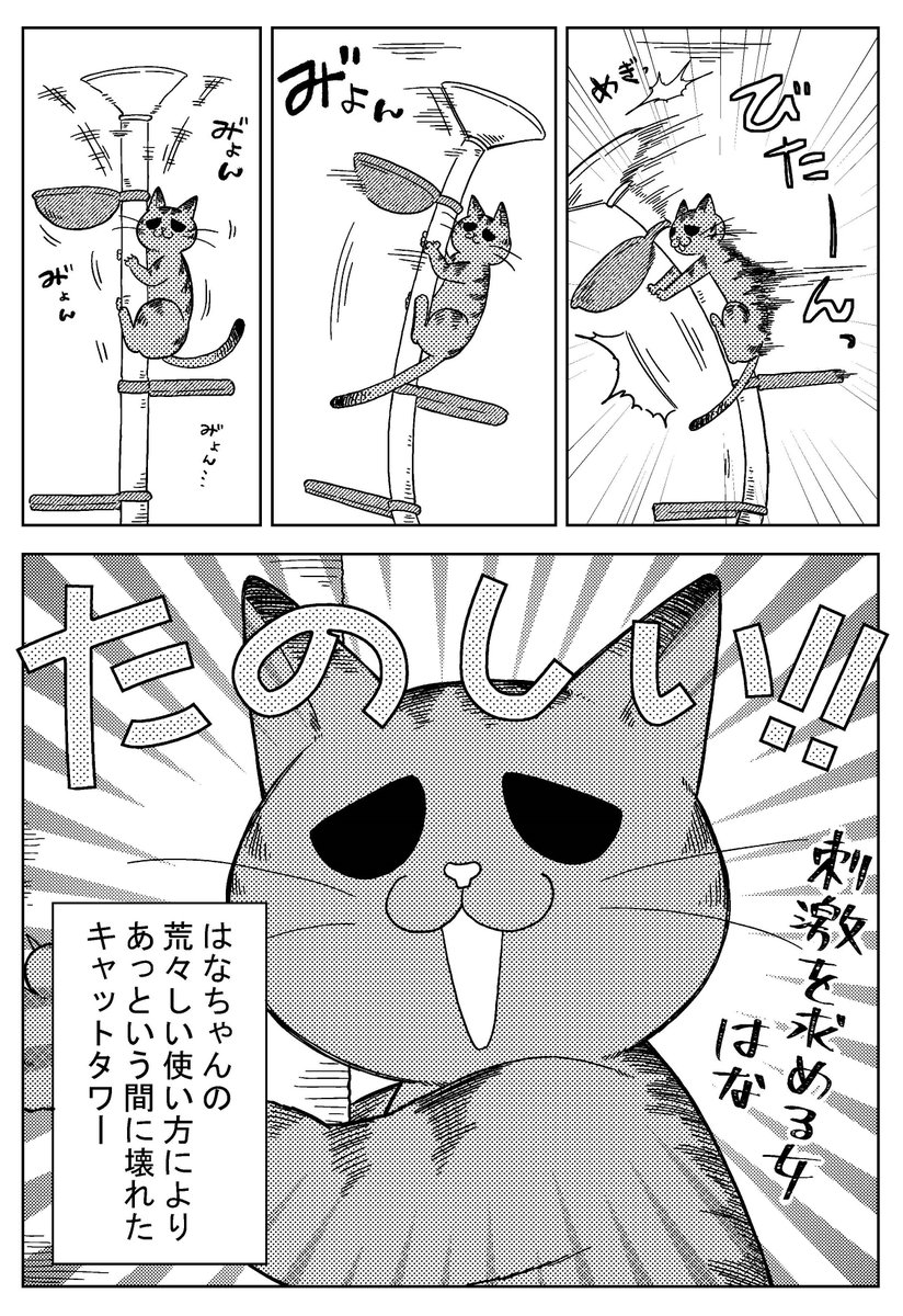 久しぶりに猫漫画描きました!お正月寝込んでいるときに思い出したこと。 