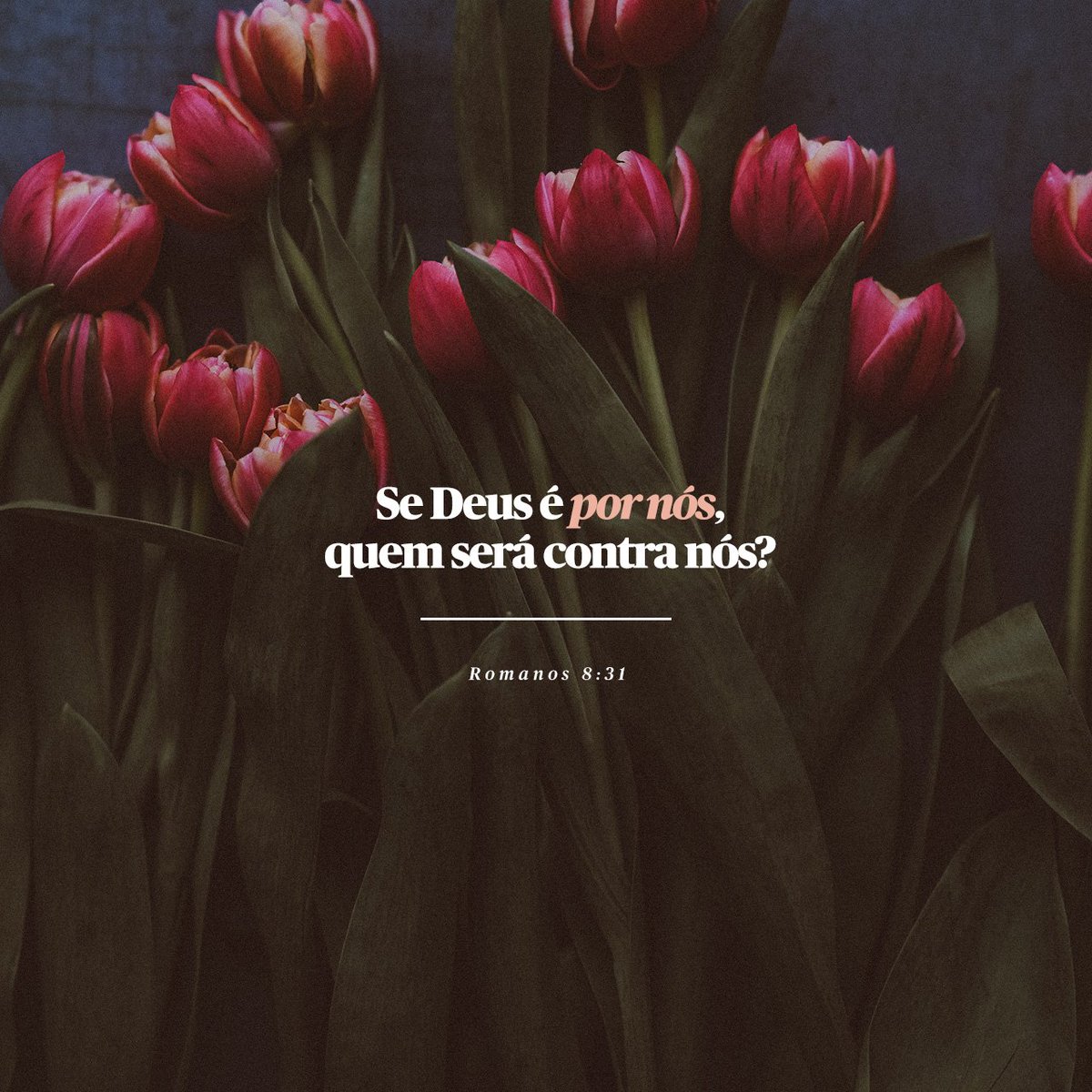 Comentando sobre a salvação de todo o que crer, Paulo pergunta: 'que diremos sobre isto?' Sabendo que nada separa o amor de Deus de quem nasceu de novo, ele questiona: 'Se Deus é por nós, quem será contra nós?' Reflexão pra hoje é: 'e se Deus for contra nós? Quem será por nós?