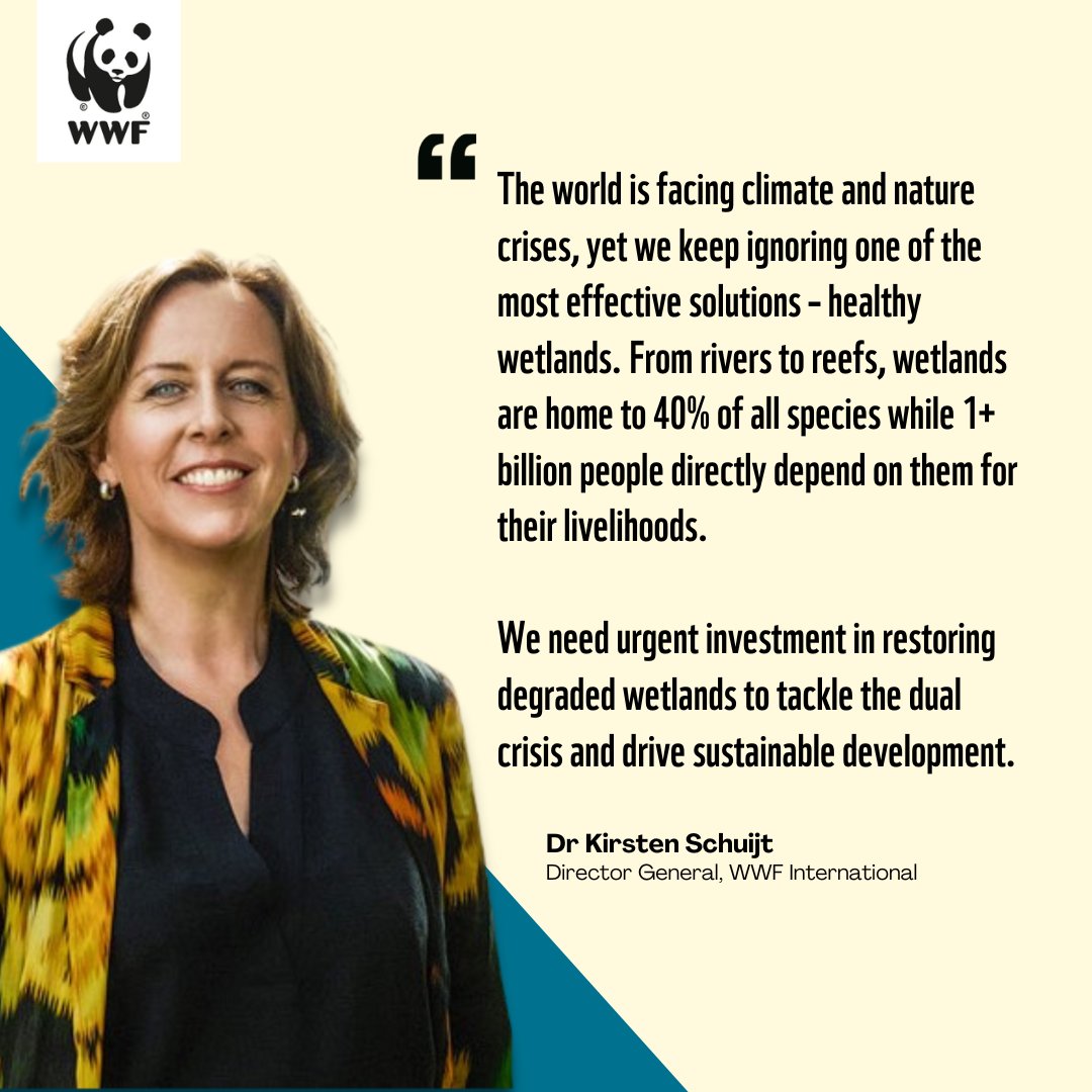 Happy #WorldWetlandsDay2023! <a href="/WWF/">WWF</a> is committed to working with communities, partners, companies and govts to scale up wetland #restoration  

<a href="/RamsarConv/">Convention on Wetlands</a> <a href="/wwf_media/">WWF International media team</a> <a href="/Stuart_Orr/">💧🐟 Stuart Orr 🐟💧</a> <a href="/henkovink/">Henk Ovink</a>