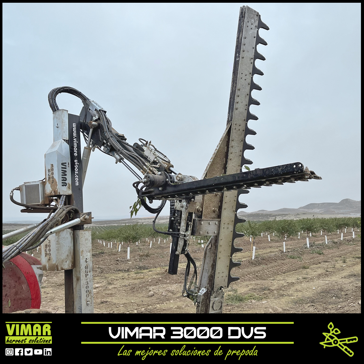 vimarequipos's tweet photo. 🌳⚔️#prepodadora Vimar 3000 DVS con 2 barras de doble cuchilla: una de 2,50 m para laterales y otra de 1,20 m para la parte superior.
👌ideal para todas las plantaciones intensivas.
😀☎️Contacta con nosotros en el 978898811.
#poda #prepoda #prepodadoradoblecorte #vimarequipos https://t.co/PeWUn0I5fj