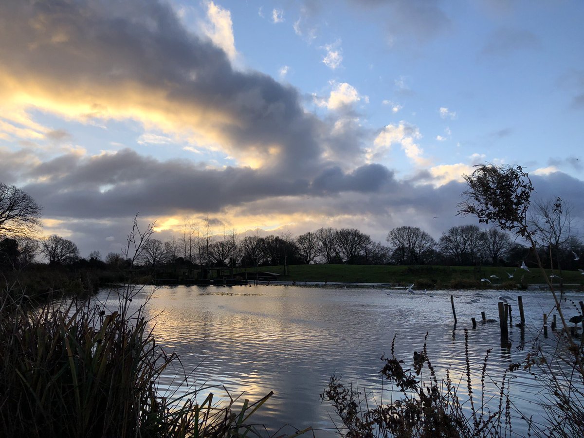 HettieMermaid's tweet photo. #WorldWetlandsDay 
Wetlands are incredible ecosystems, able to filter water, store carbon and support 40% of the world’s species!
But over the past 300 years, over 85% of the planet’s wetlands have been lost.
@FirsFarm in my home town have been working to restore our wetlands! 💚 https://t.co/QmSztDBizd