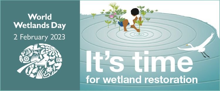 RESTCOAST_H2020's tweet photo. 📢It's time for restoration!
🌊Join REST-COAST in celebrating #WoldWetlandsDays and learn about the benefits of reversing the trend of wetland area losses and restoring #wetland #ecosystems!
🌐Read more here: https://t.co/Ts60ZKG3WM
#ForWetlands #Wetlands #GenerationRestoration https://t.co/akFyrznxmI
