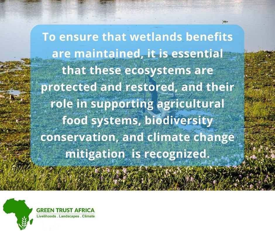 Wetland ecosystems support diverse range of plant 🌿& animal🐸life & provide a wide array of benefits to human societies, including water purification🫧, flood control, carbon sequestration, & food systems 🌾support.
➡️bit.ly/crucialwetlands
#WetlandsMatter #WorldWetlandsDay2023