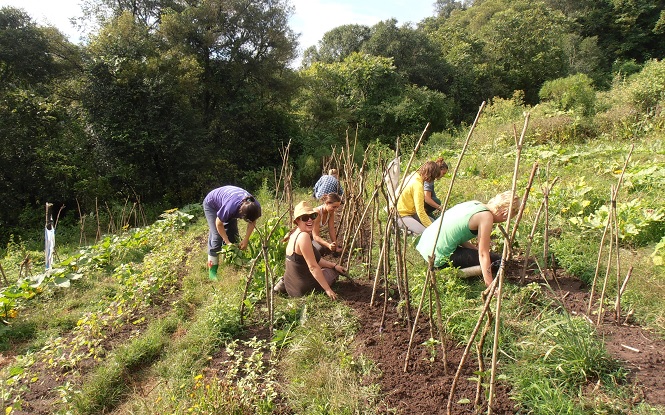 Best Volunteer Programs for 2023 volunteerlatinamerica.com/blog/posts/bes…