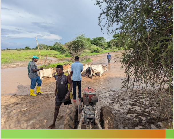 Tanzania Development Trust tweet media