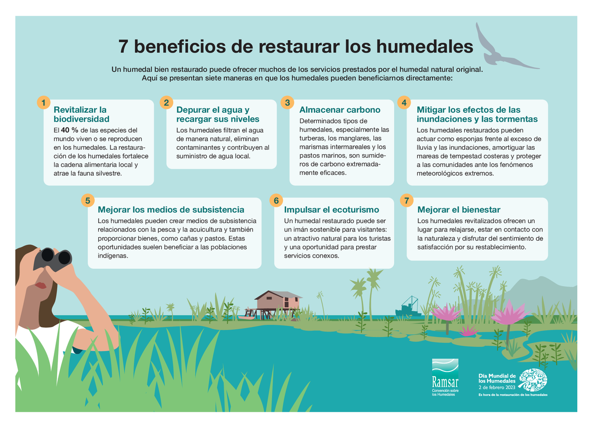 Los humedales son importantes porque:

🔵 almacenan + carbono que los bosques;

🔵 protegen a las comunidades costeras de las inclemencias del clima;

🔵 sustentan medios de subsistencia.

#GeneraciónRestauración #ParaHumedales
#DíaMundialDeLosHumedales

➡️worldwetlandsday.org/es/
