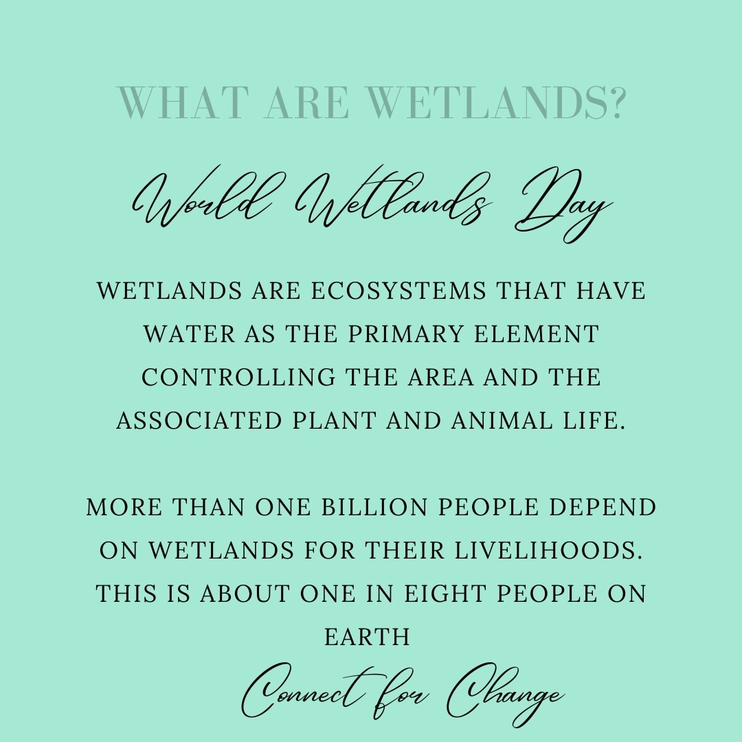 More than one billion people depend on wetlands for their livelihoods. This is about one I'm eight people on earth.
Let is protect and conserve the wetlands.

#wetlands #wetlandsday2023 #worldwetlandsday
#worldwetlandsday2023