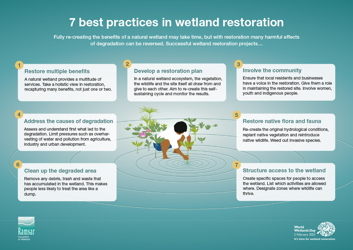 BelgiumDGM's tweet photo. 🎉Today is #WorldWetlandsDay!
Restoring wetlands means #morebiodiversity   #cleanerwater #placestorelax #RamsarsitesinBelgium #hetZwin #KalmthoutseHeide #lesHautesFagnes #ValléedelaHauteSûre 
Belgian Development Cooperation supporting sites as Virunga National Park in the #DRC https://t.co/5TdQvPGmT4