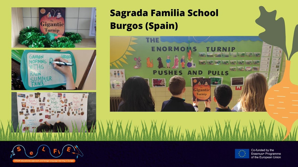 SELFIE Project (@selfie_clilstem) on Twitter photo The students from 3º and 4º Primary at the <a href="/SafaBurgos/">SaFa Burgos</a> school in Burgos have practised spelling, writing, reading and listening through the book "The Giant Turnip".
It's a great way to learn English, Natural Science, Arts and Crafts, Music and Physical #Education!
#CLIL #STEAM The students from 3º and 4º Primary at the <a href="/SafaBurgos/">SaFa Burgos</a> school in Burgos have practised spelling, writing, reading and listening through the book "The Giant Turnip".
It's a great way to learn English, Natural Science, Arts and Crafts, Music and Physical #Education!
#CLIL #STEAM