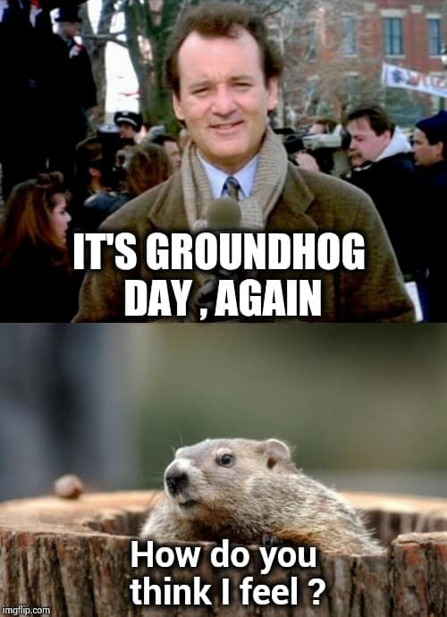 but what about GORDY?

Come on @LindseySlaterTV you know what we paid for... #GroundhogDay2023 #LindseysZoo #MKEZoo @MilwaukeeCoZoo