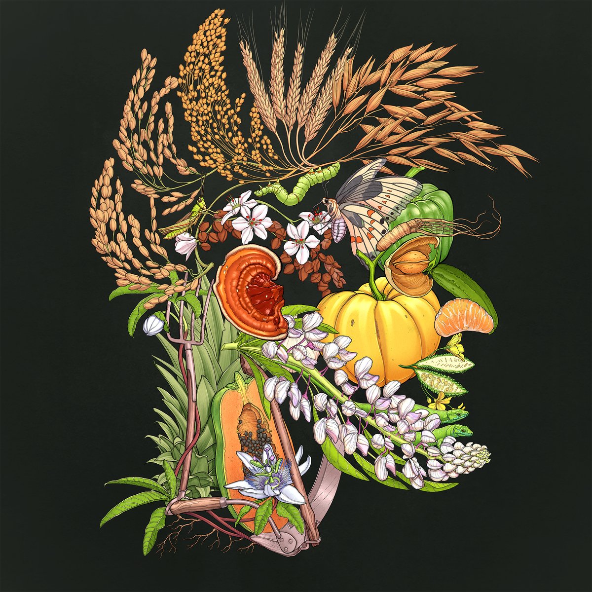 Portraits Potagers ꜩ tweet media