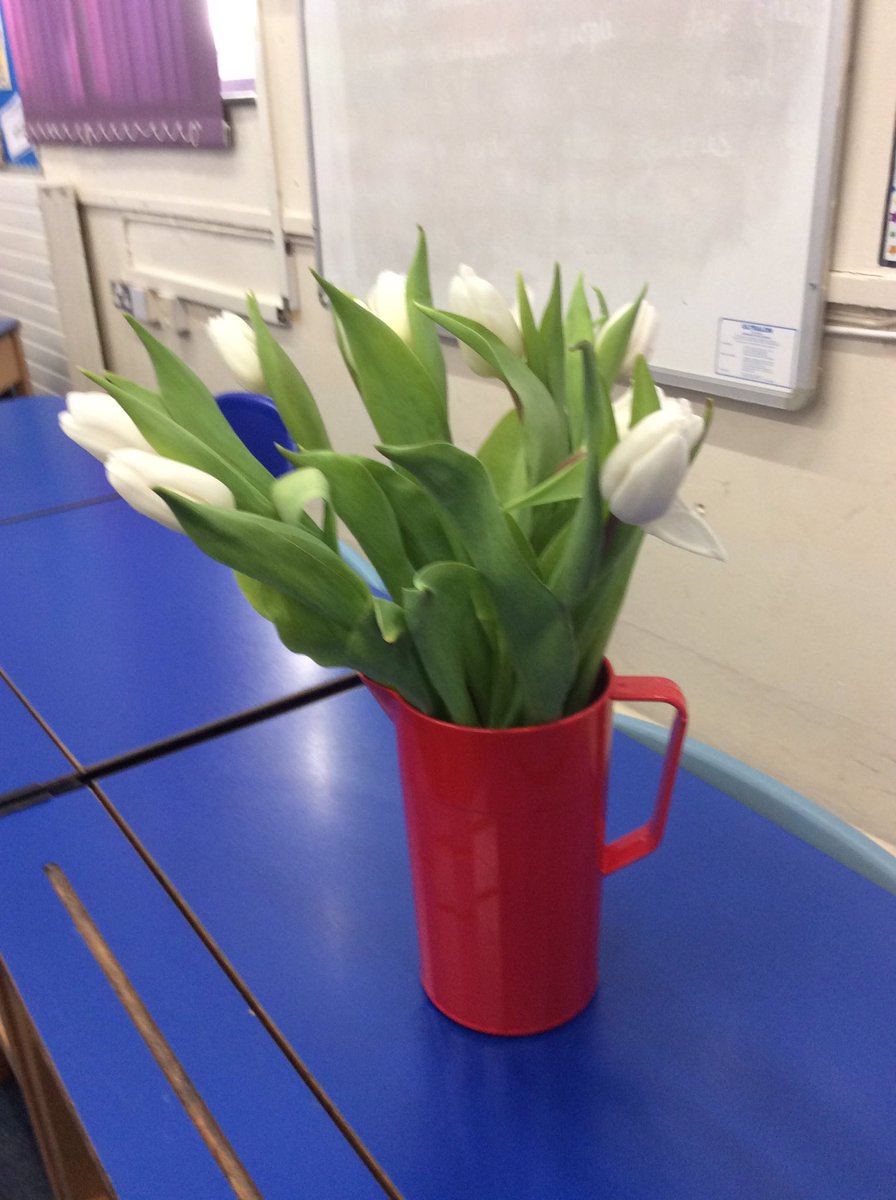 What do you think our Scientists in Year 3/4 are doing today?