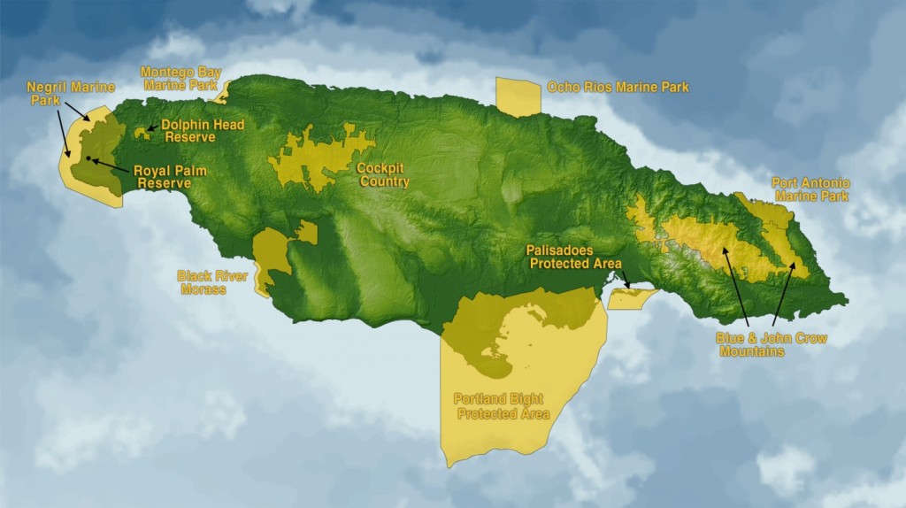 Caribbean Youth Environment Network in Jamaica tweet media