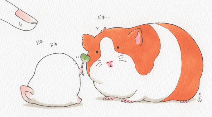 うおマロ、大きな友だちまとめ。 