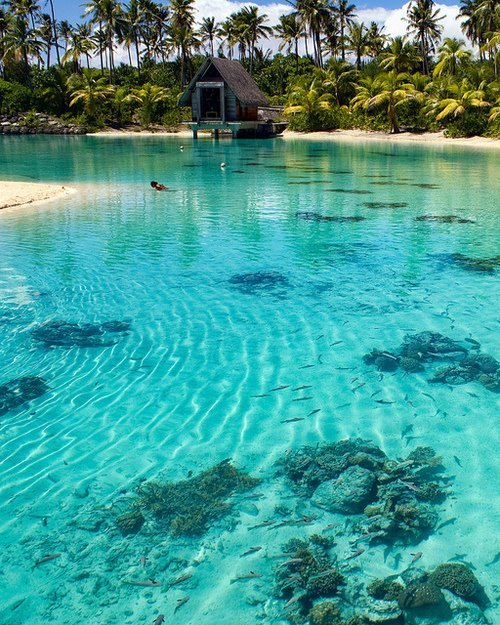 visitharford's tweet photo. Turquoise Lagoon, Bora Bora, French Polynesia #TurquoiseLagoon #BoraBora #FrenchPolynesia https://t.co/3hEkgrcbCu https://t.co/JQZ43OduIL