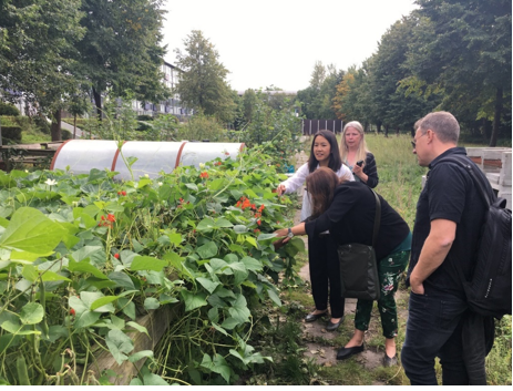 sieugreen's tweet photo. The increased circular urban cultivation using local resources,such as soil media,nutrients,water,energy is possible and could play a role in the urban circular economy and make cities more climate resilient. @HorizonEU #ResearchImpactEU #EUFunding #InvestEUResearch https://t.co/DPLR1TmLVK