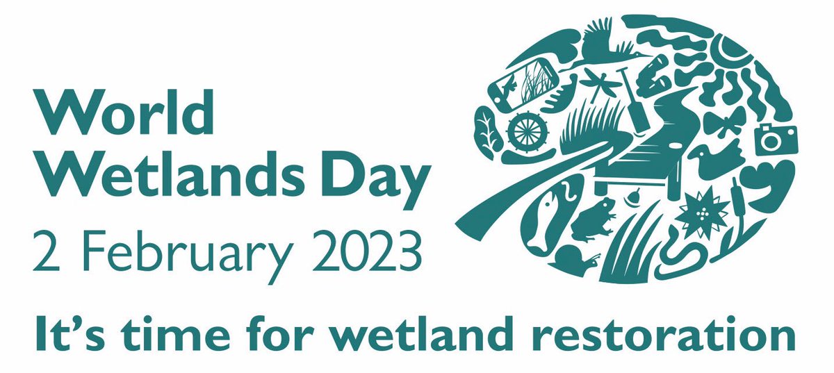 Wetlands maintain biodiversity by providing important habitat for a variety of species. 

We must restore, protect and conserve them!

#WorldWetlandsDay2023