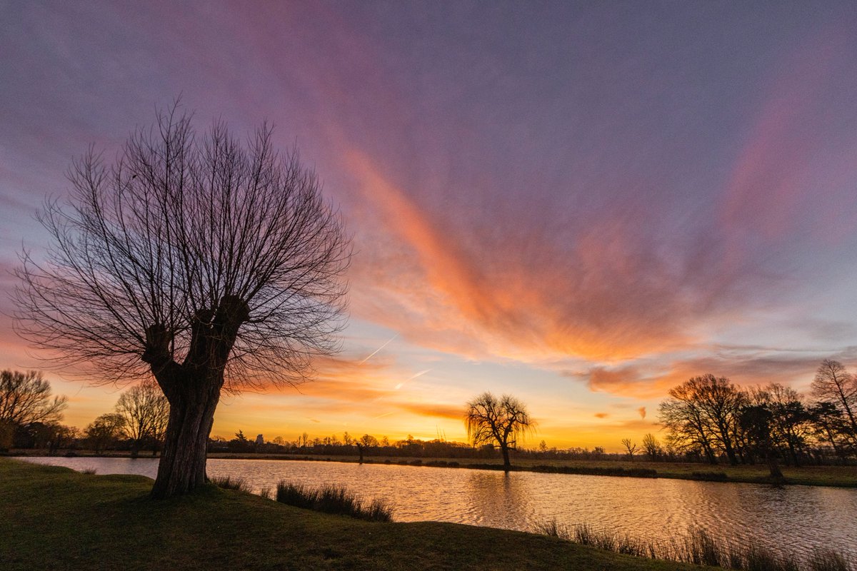 patlinberg's tweet photo. Four stages of a breathtaking sunrise in #BushyPark colours, clouds and reflections what more could we ask for?2.02.23 @theroyalparks @fbhp_uk @TWmagazines @SallyWeather  @itvlondon @ChrisPage90 @ThePhotoHour @metoffice #loveukweather @Visit_Richmond1 https://t.co/UyAVVqxbm7