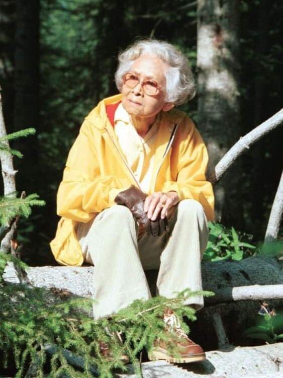 HuixianHuang tweet media