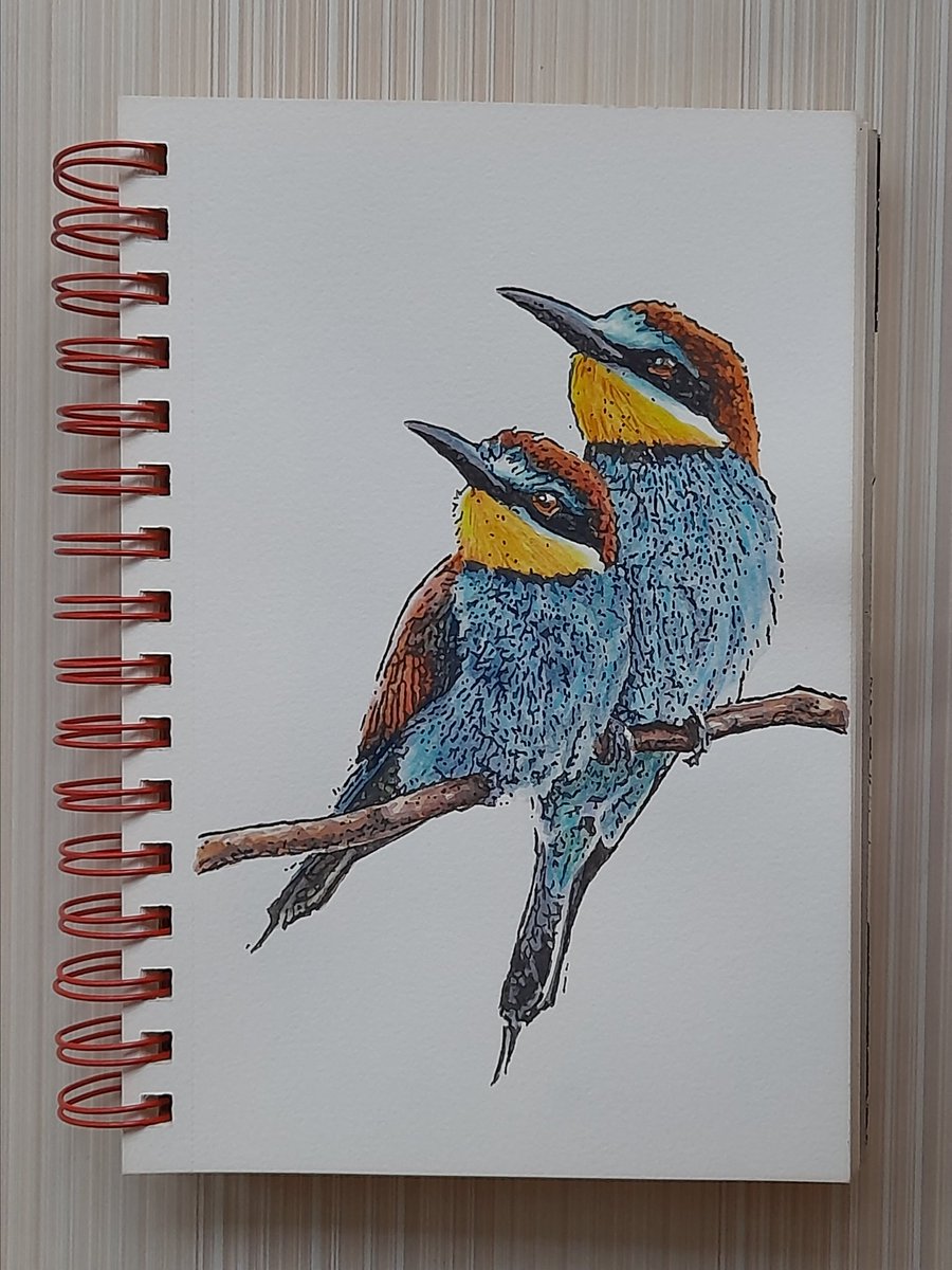 arteysketchbook's tweet photo. Pair of birds ❤❤❤
#birdpair #animaldrawing #wildlifedrawing #beautifulbirds #animalart #artezasketchbook #colorpencilart #naturejournal #sketchbook #birdsofinstagram https://t.co/xTPCZH97M8