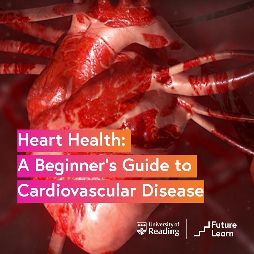 February is #HeartHealthMonth 
Join our course to understand your heart, cardiovascular system and the common diseases🫀

This #online course is led by experts at the University of Reading: 
futurelearn.com/courses/heart-… 

#FLhearthealth <a href="/uniofreading/">Uni of Reading</a> <a href="/UniRdg_OOCs/">Uni of Reading Online Courses</a> @ConnectRdg