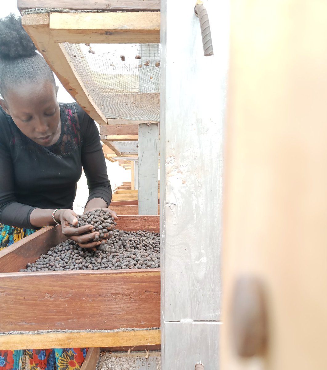 Uganda's speciality arabica coffee, made with so much love
