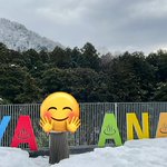 ツイートに含まれる画像
