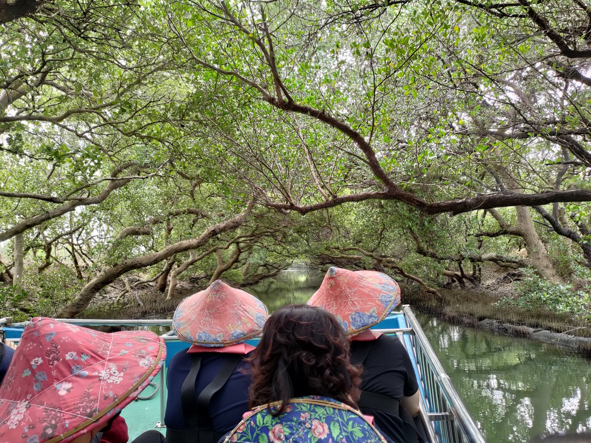 DanielInTaiwan's tweet photo. Sicao Green Tunnel in #Tainan, #Taiwan. Taking the boat through the mangroves is fun but be aware that even with a boat full of foreigners (mostly Korean), they'll still only explain everything in Mandarin. You better come with a local. https://t.co/obcdikxgGk